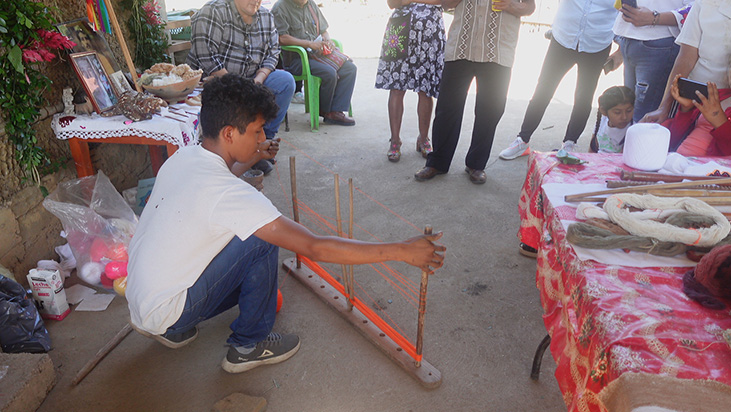 Imagen 5