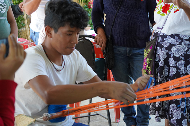 Imagen 6
